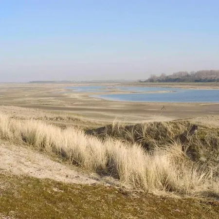 Seaside W Large Terrace De Haan